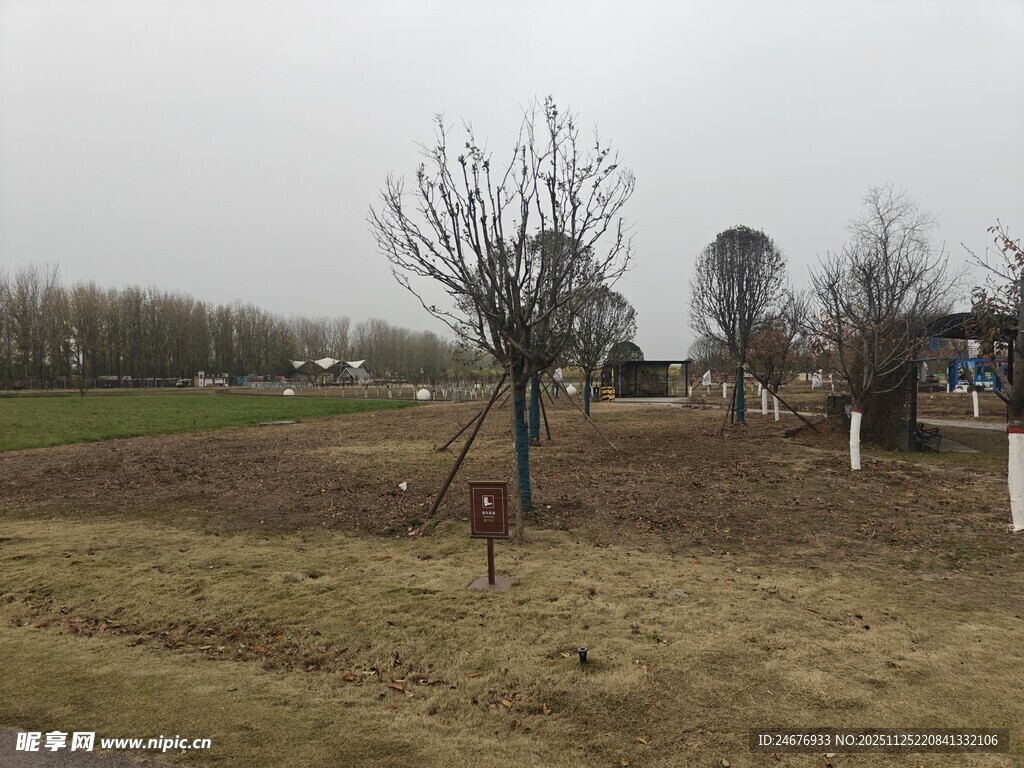 田野中的树木与开阔景象