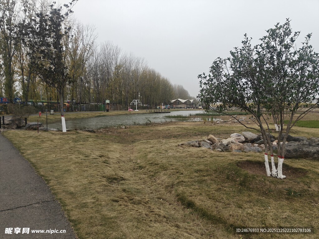 冬日公园小路景观