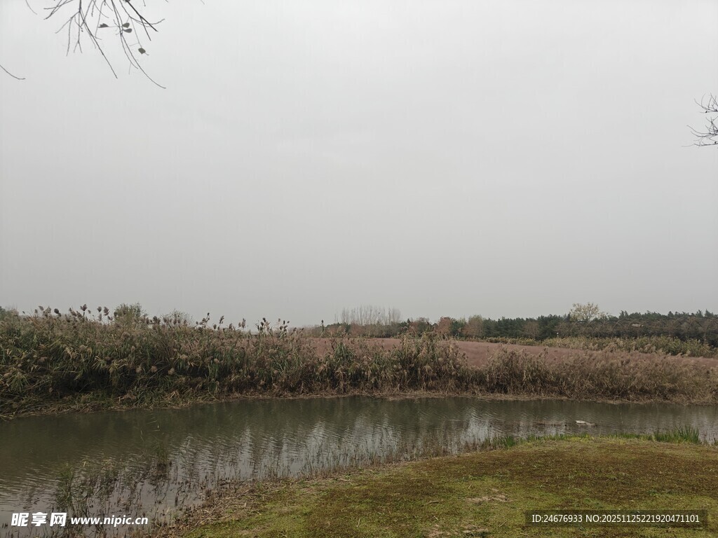 宁静河畔的自然景致