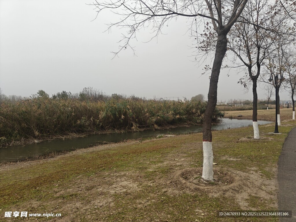 冬日郊野小路风景