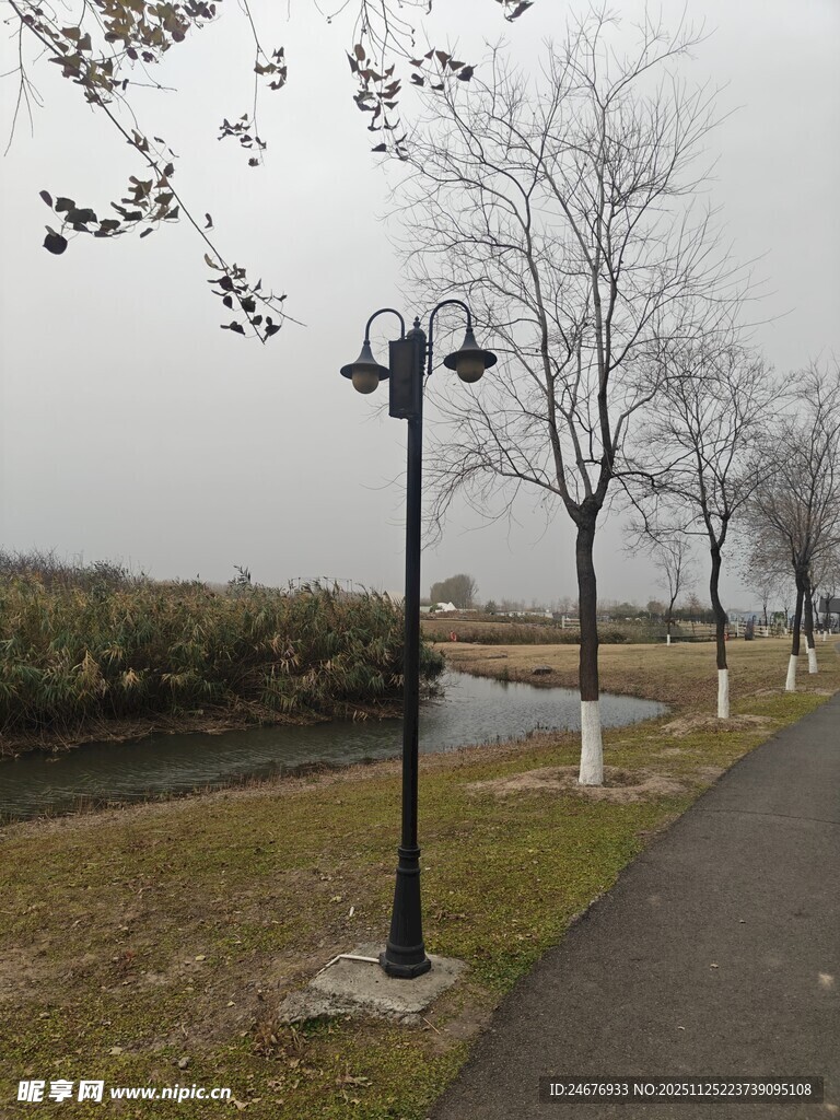 冬日公园路灯下的静谧小路