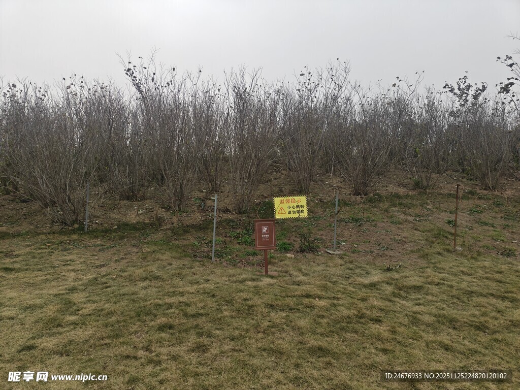 田野中的黄色标识牌