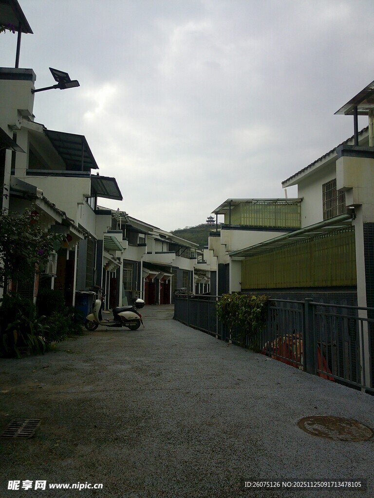 宁静街道旁的住宅建筑