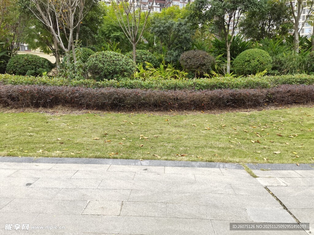 户外草坪旁的水泥地面