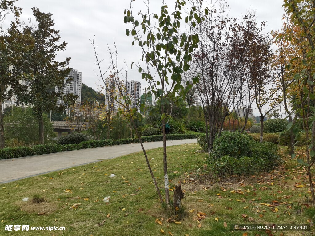 户外园林景观一角