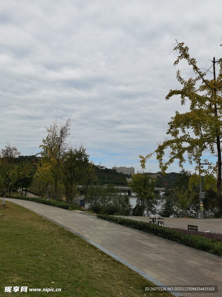 户外宁静的道路与绿化景观