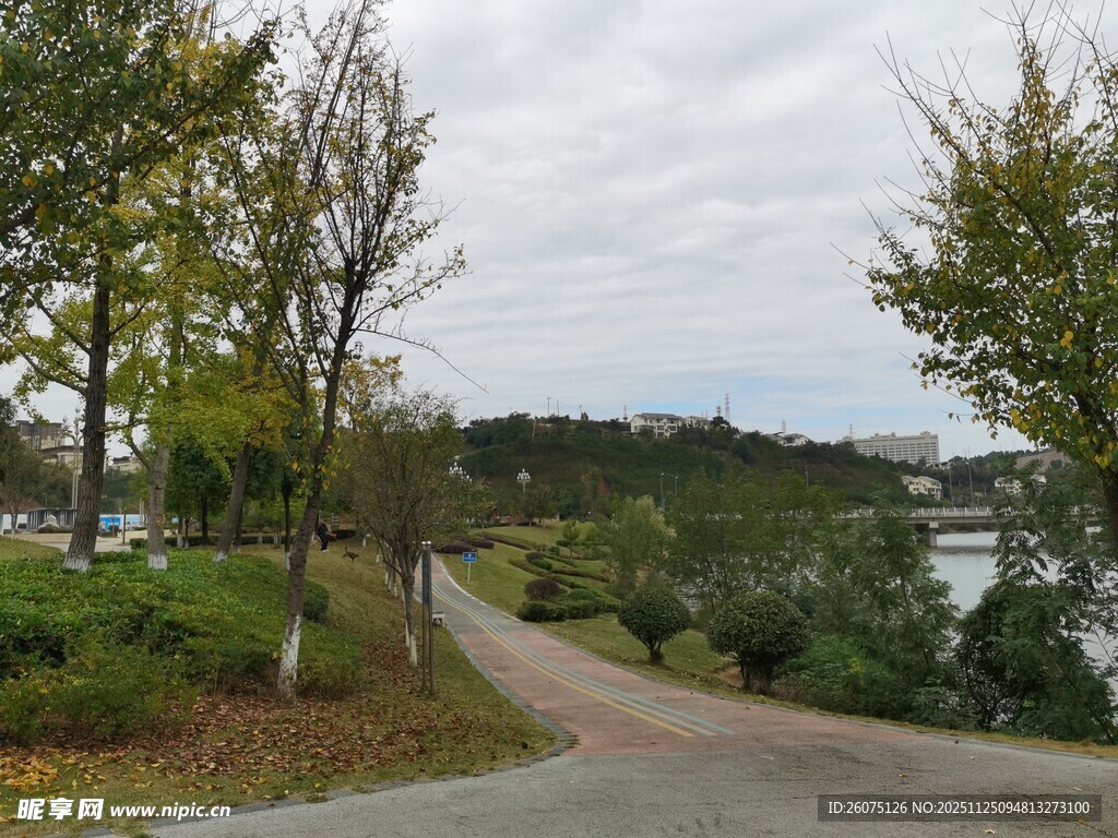 秋日林荫小路风景