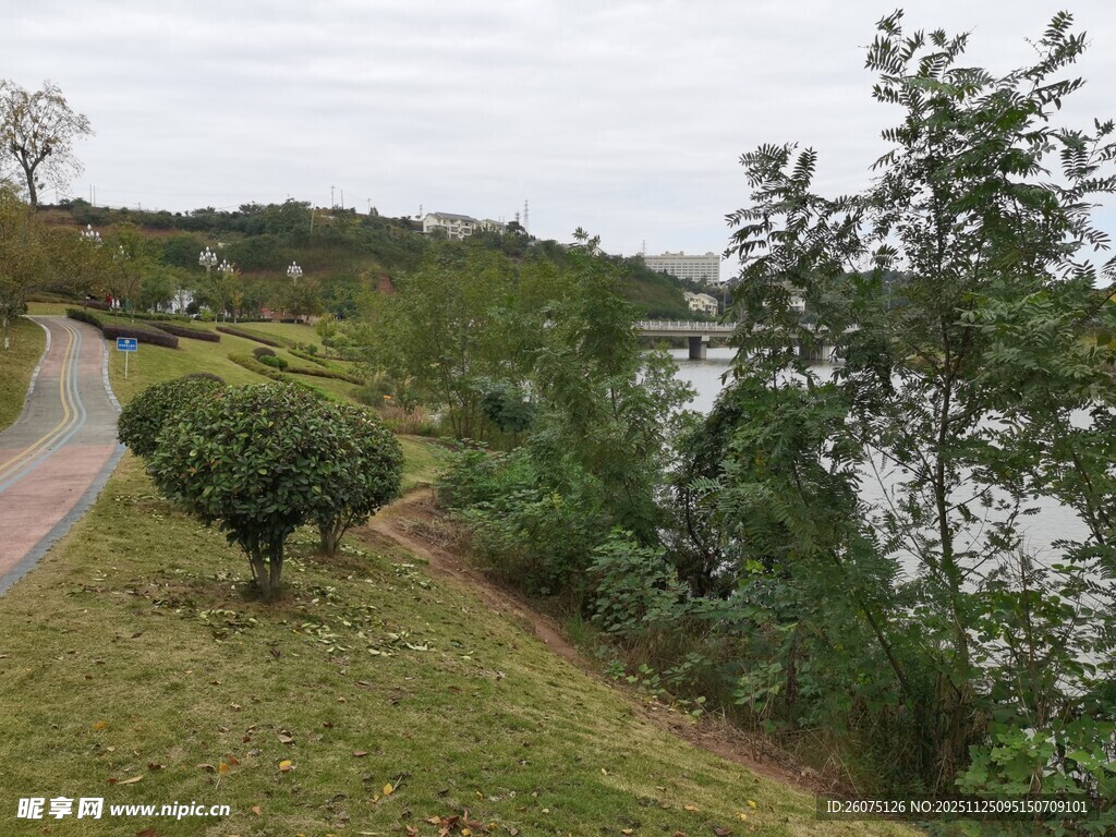 湖畔蜿蜒小路旁绿植景观