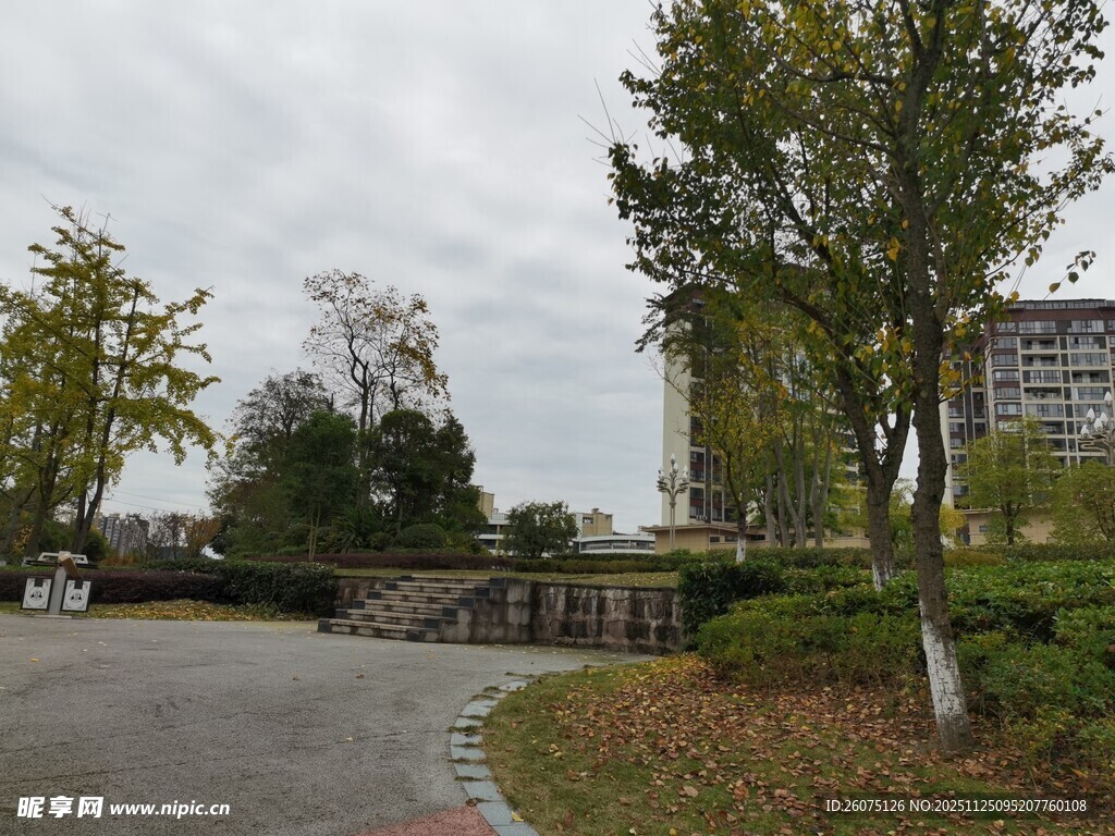 秋日公园的宁静道路景观