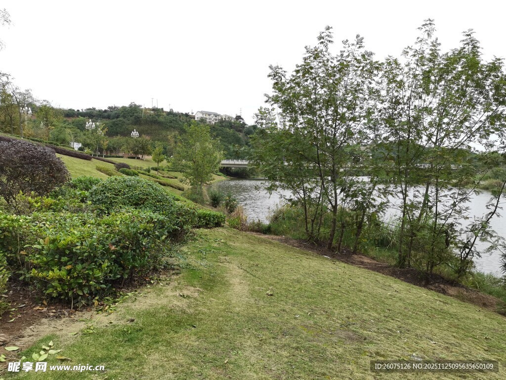 湖畔绿意小径风光