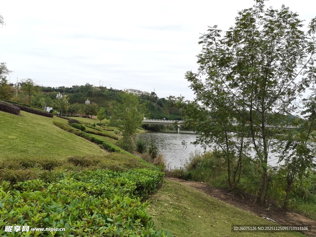 湖畔绿意盎然的自然景致