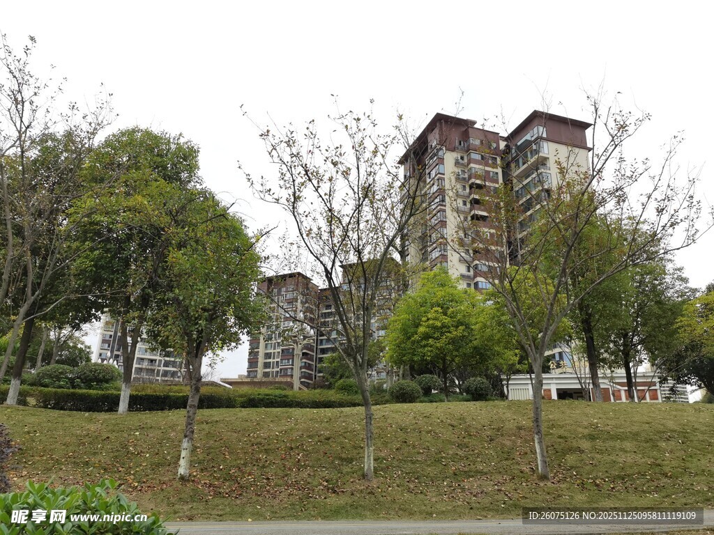 城市住宅区周边绿化景观