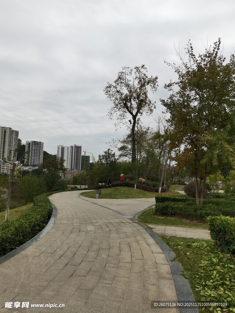 城市中蜿蜒的林荫步道