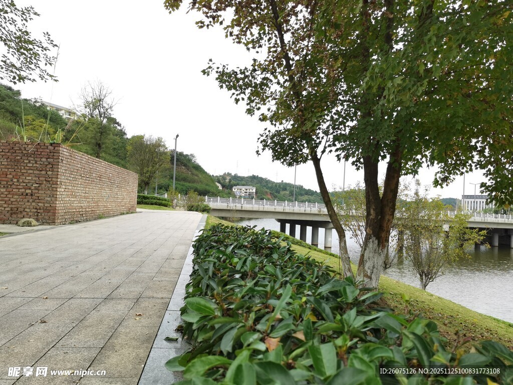 湖畔林荫步道绿植景观