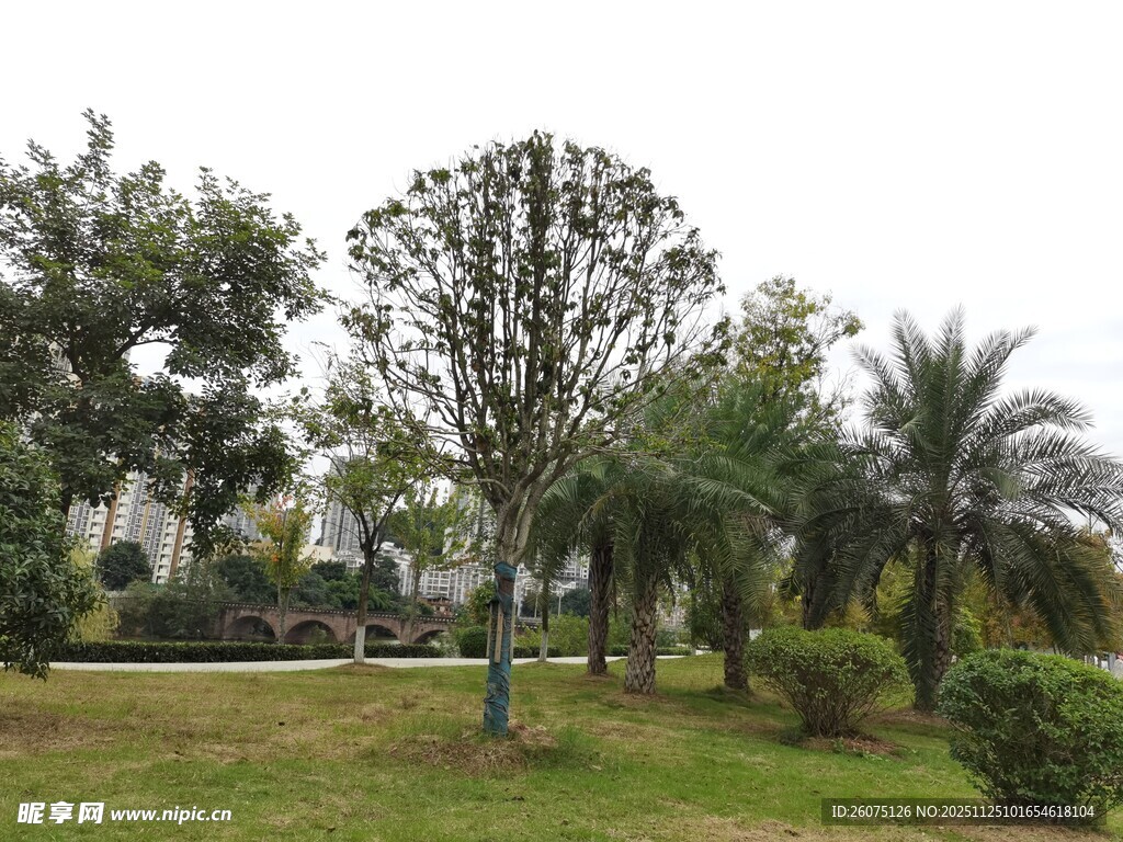 户外绿意盎然的园林景观