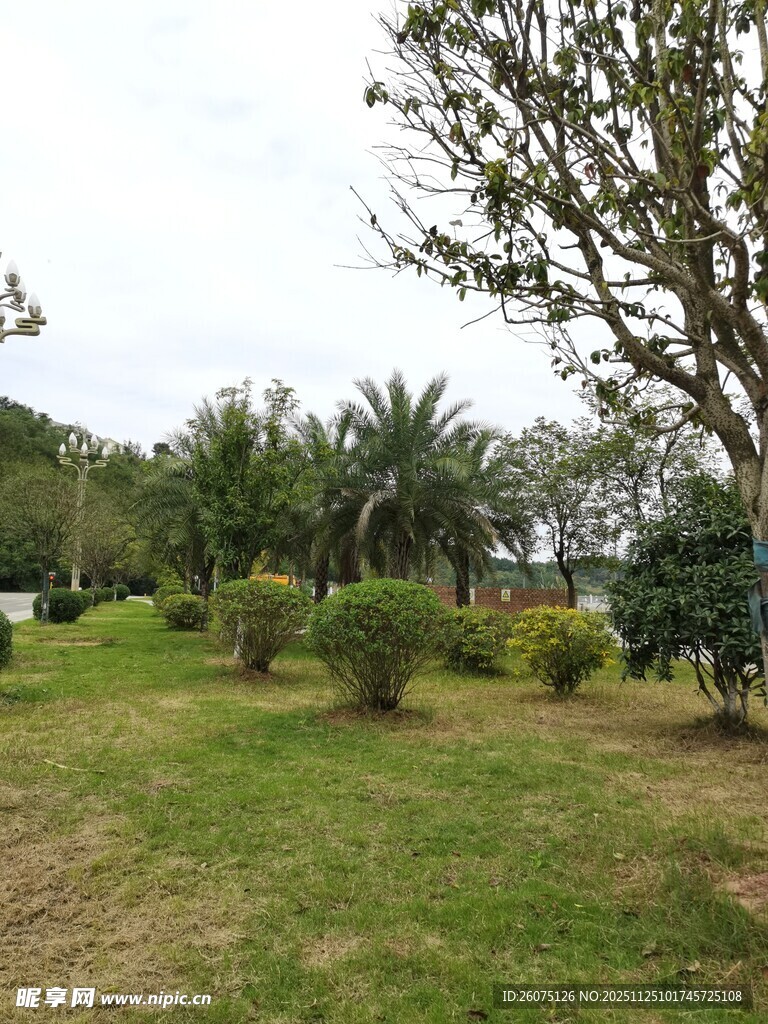 户外绿意盎然的园林景观