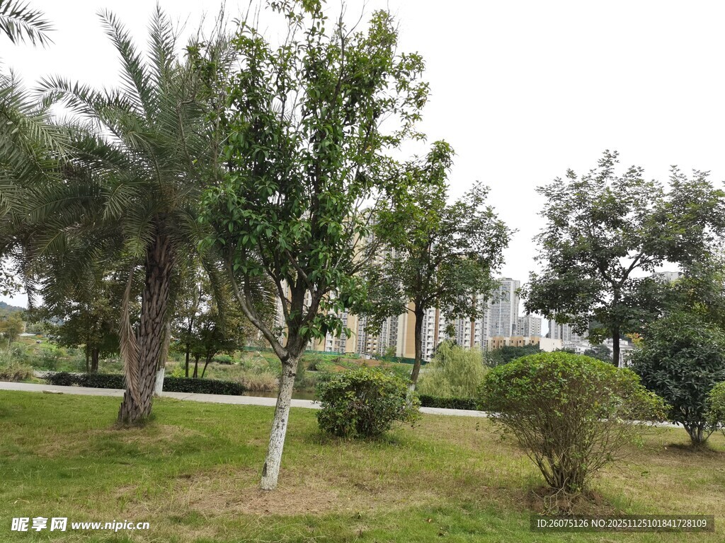 户外绿意盎然的园林景观