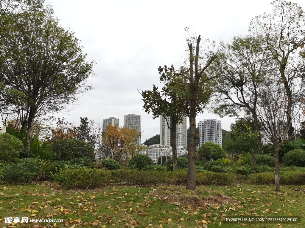 城市公园秋日景致