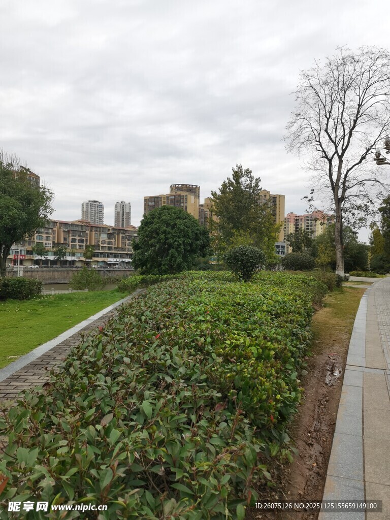 城市绿化带景观