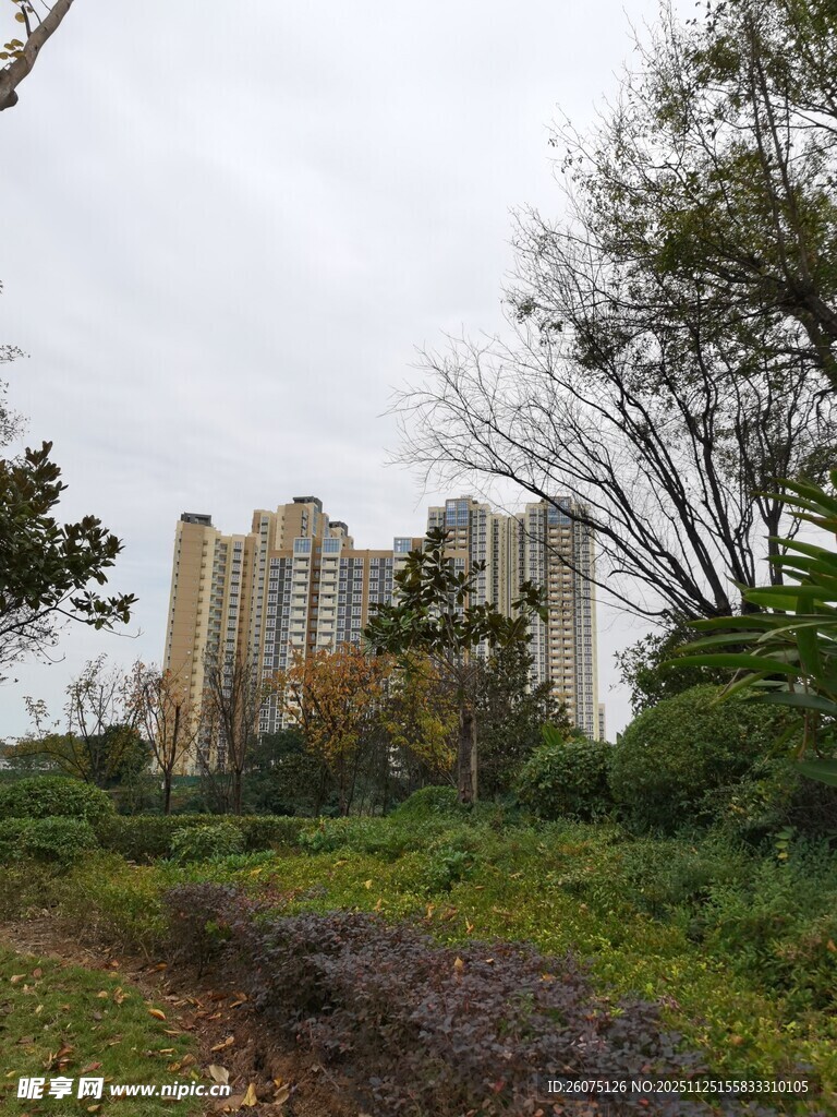 城郊绿植环绕的高层住宅