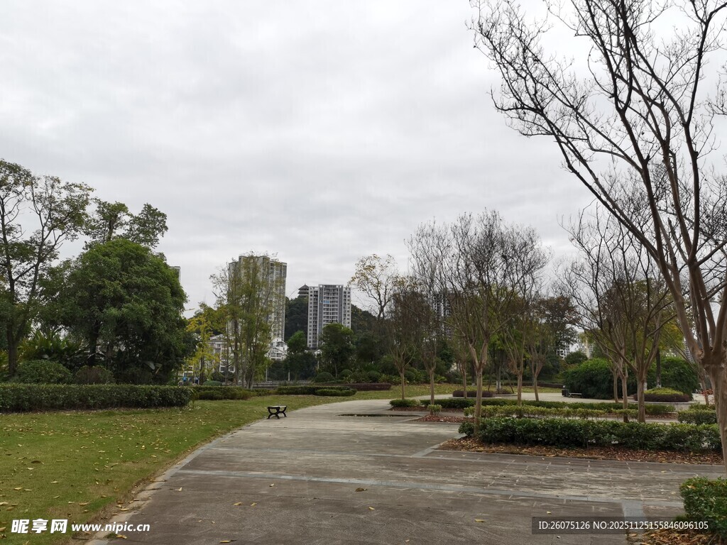 城市公园中的宁静小路