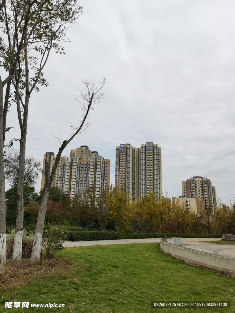 城市公园中的高楼景色