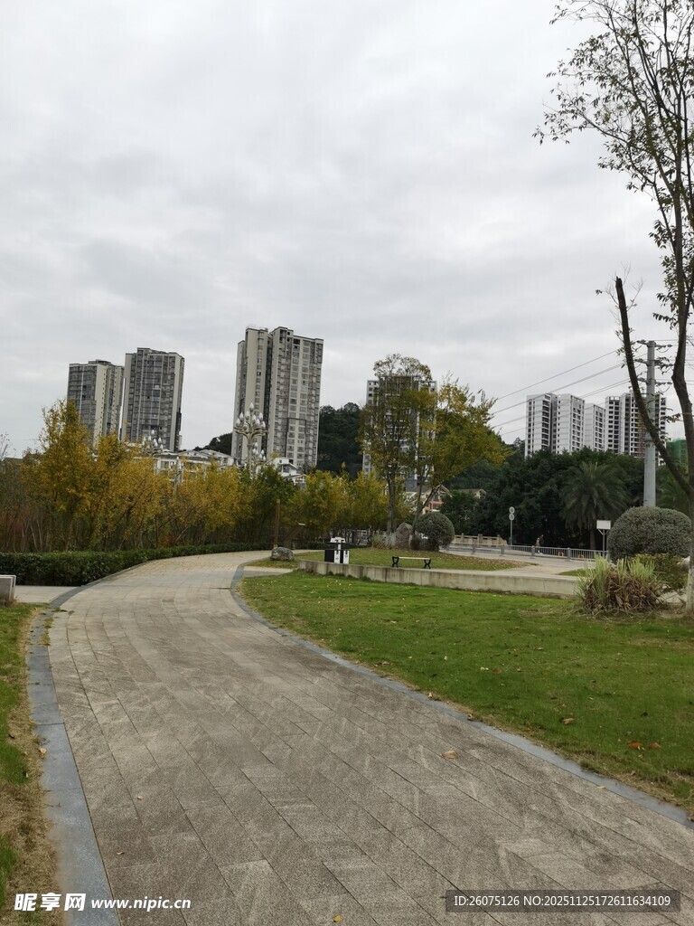 城市公园中的宁静小路