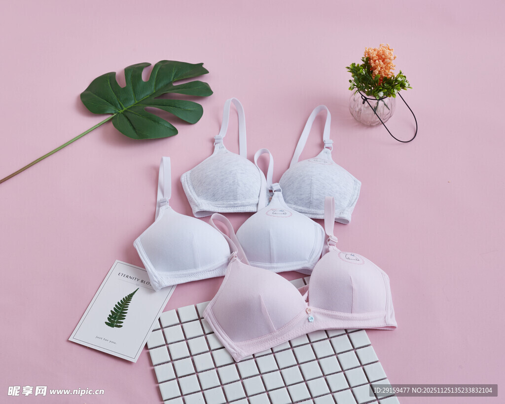 多款女士内衣展示