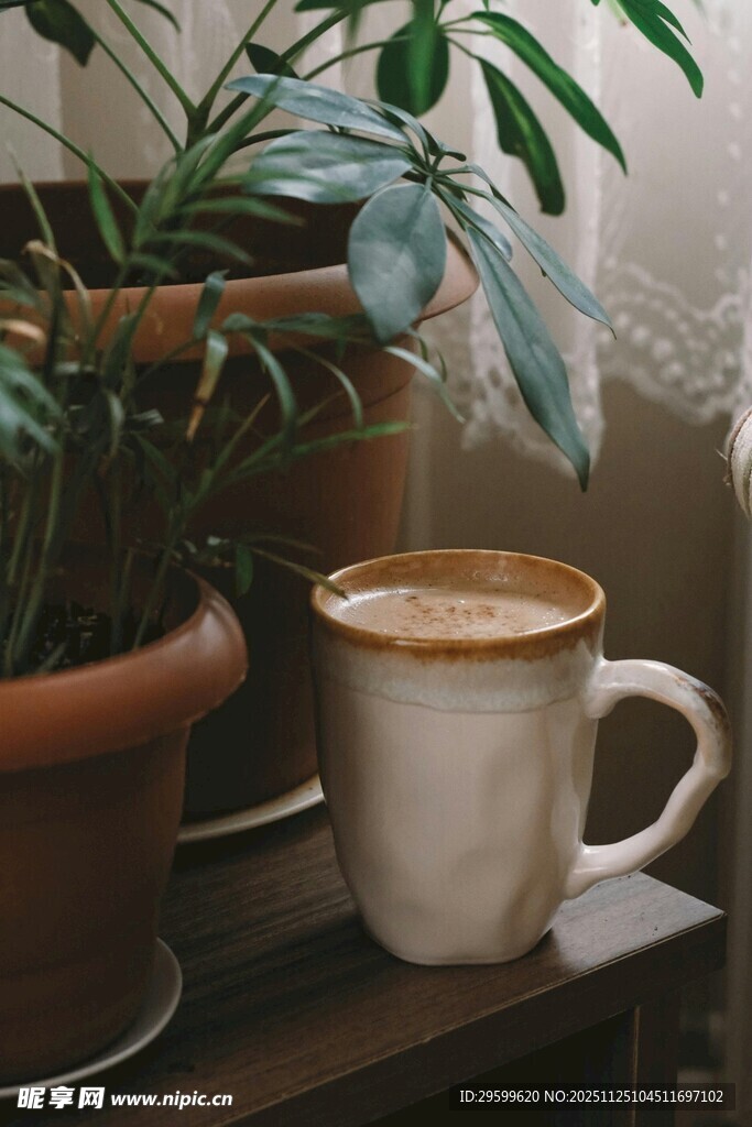 咖啡与绿植营造惬意氛围