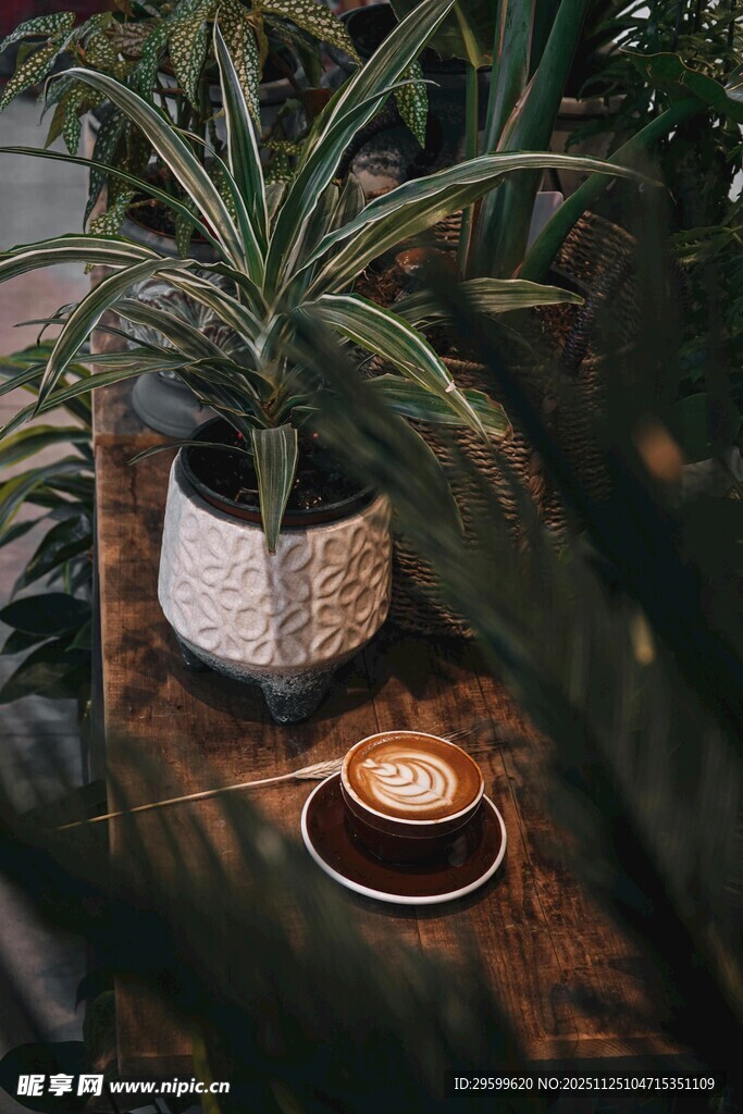 绿植旁的温馨咖啡时光