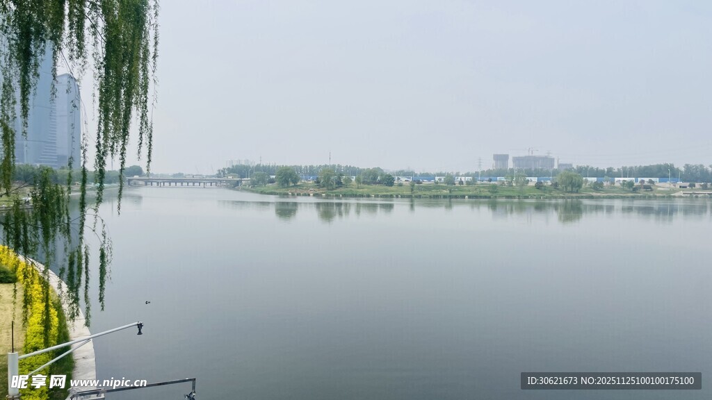 湖畔垂柳 静谧湖景风光