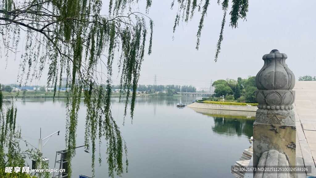 湖畔垂柳与石灯景致