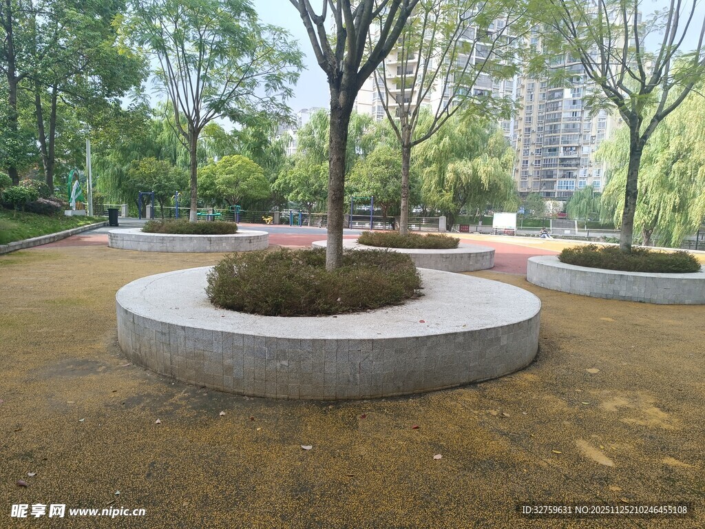 公园圆形树池景观