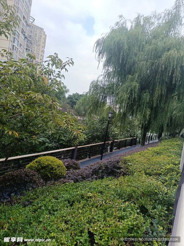城市中的绿意盎然景观