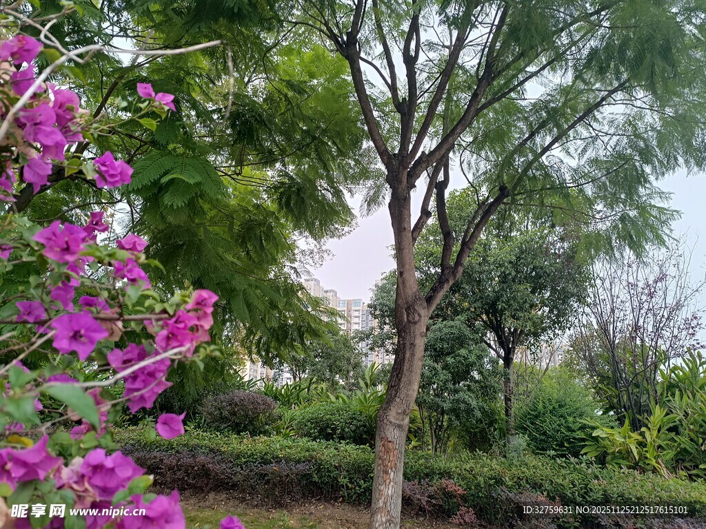 繁花绿树的自然景致