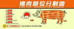 猪肉部位分割示意图