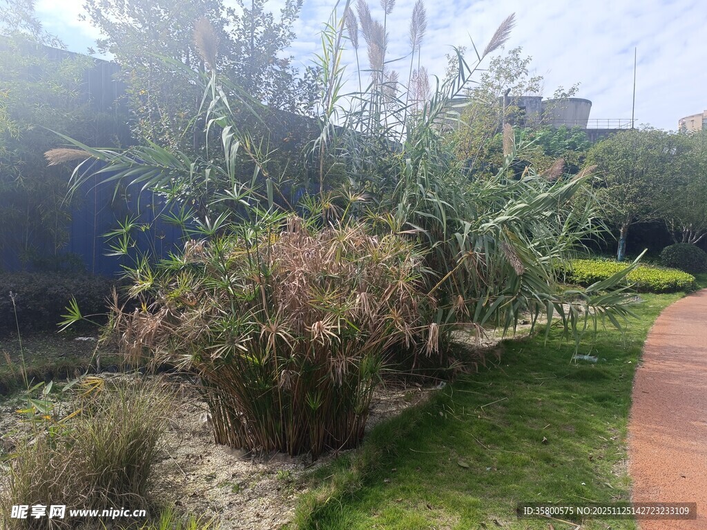 户外绿植景观一角