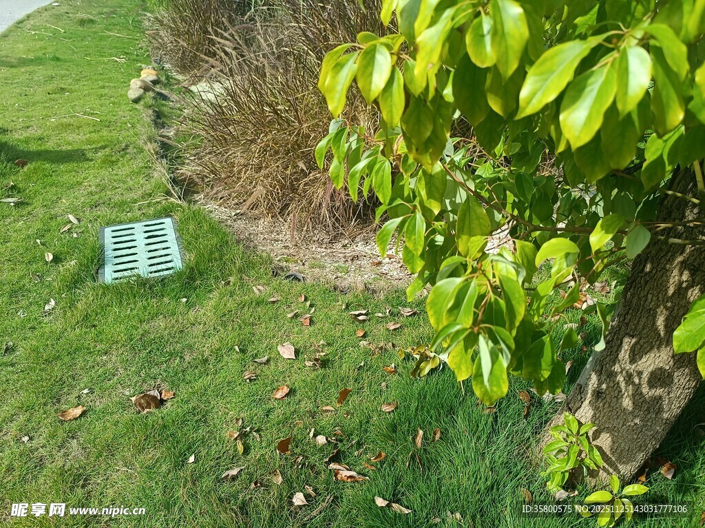 户外绿植旁的金属物件