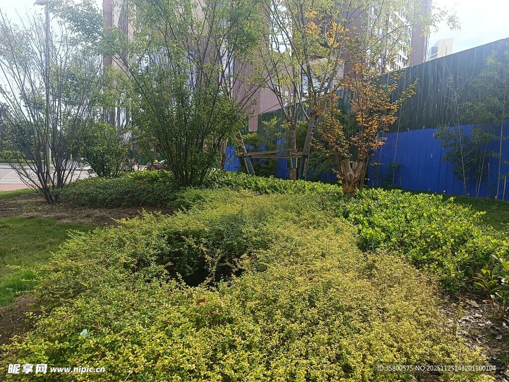 户外绿植景观一角