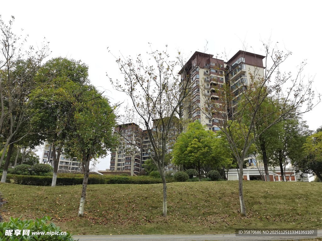 城市住宅区绿植环绕景观