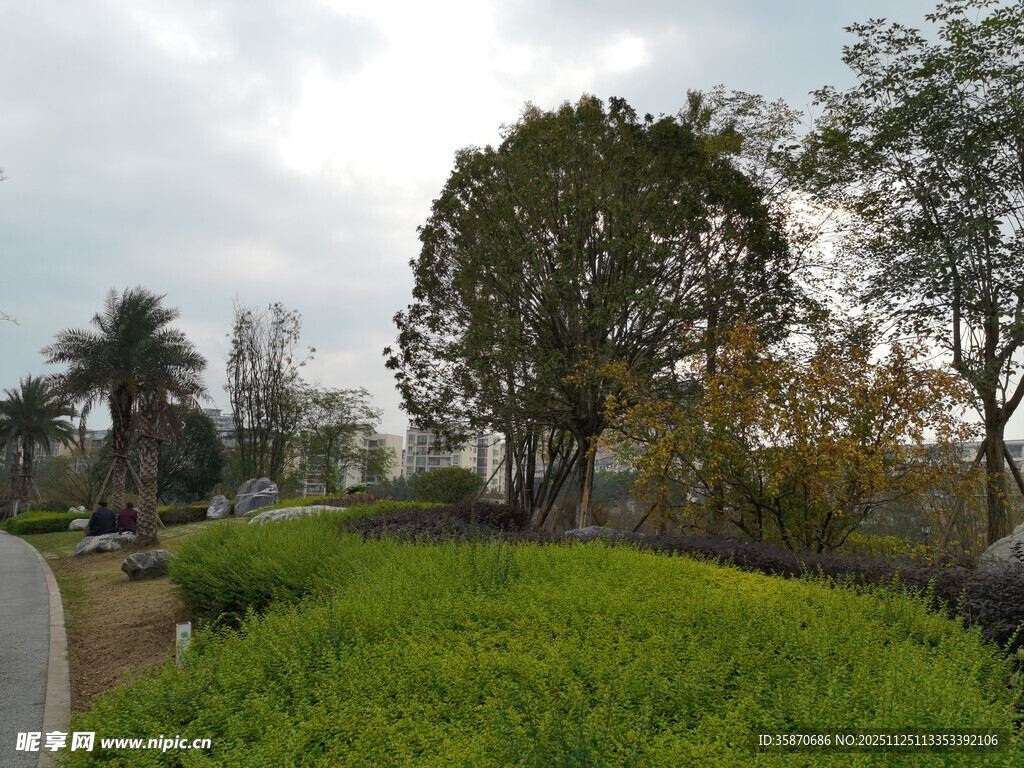 绿意盎然的户外景观