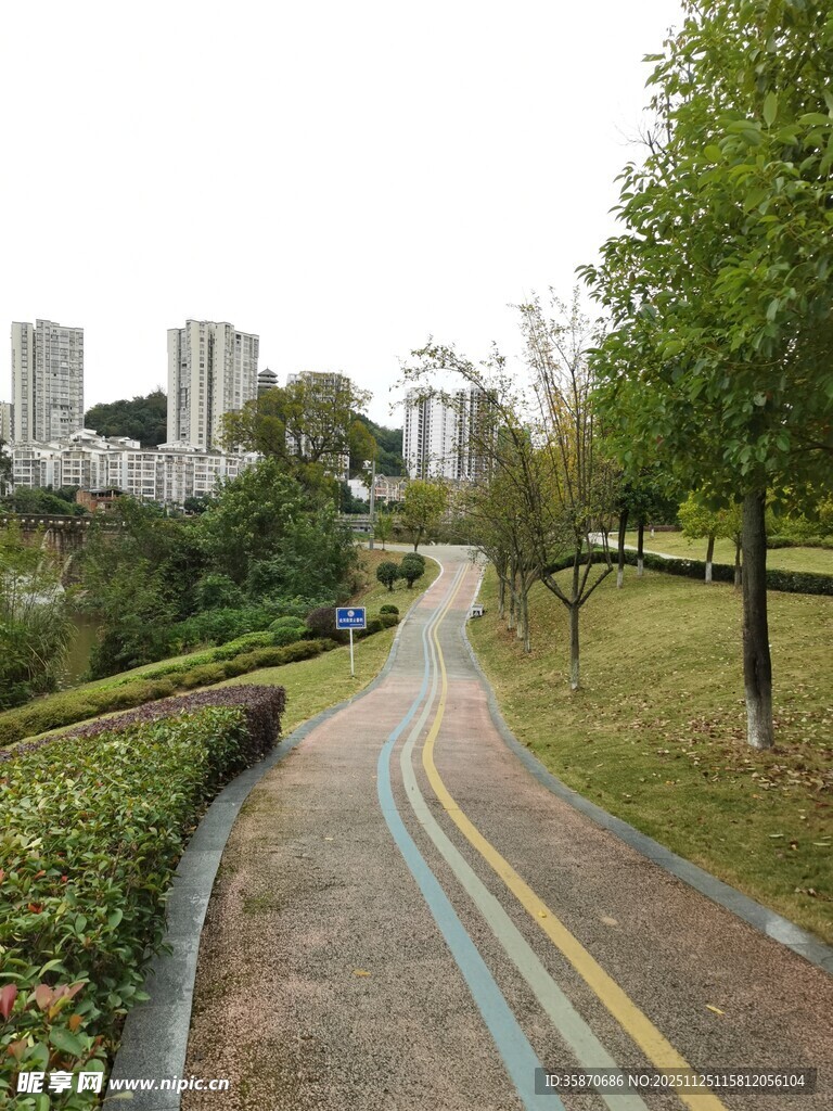 城市中蜿蜒的彩色步道