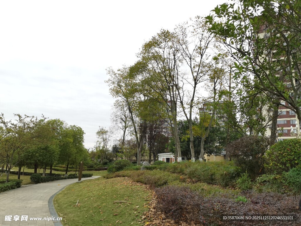 城市公园中的绿植与步道