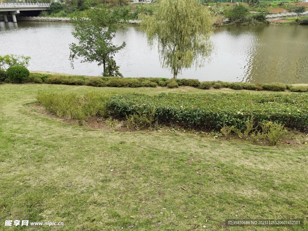 湖畔绿地景观