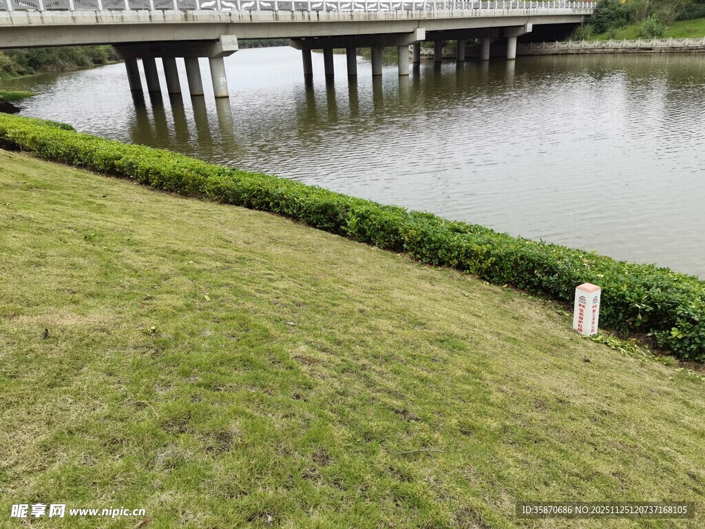 河畔草地与桥的景致