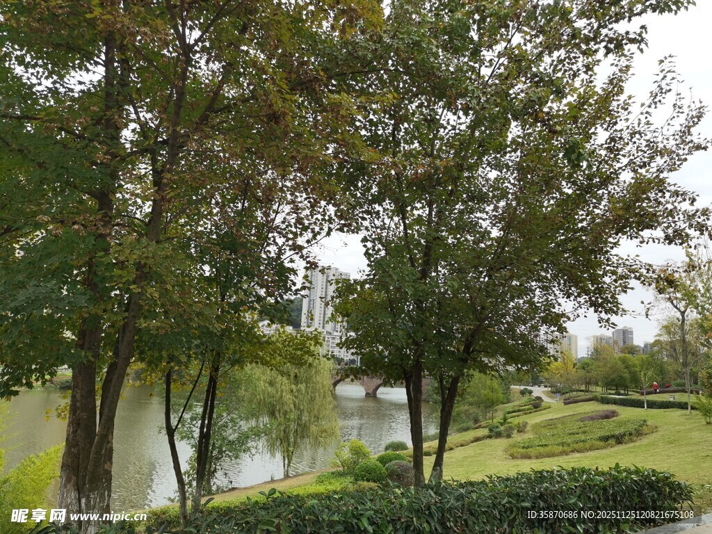 湖畔绿树成荫的静谧风光