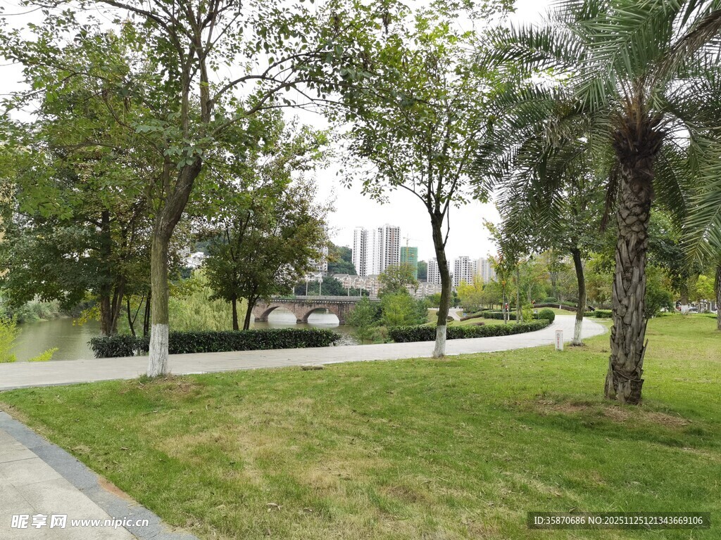 城市公园绿意盎然景致