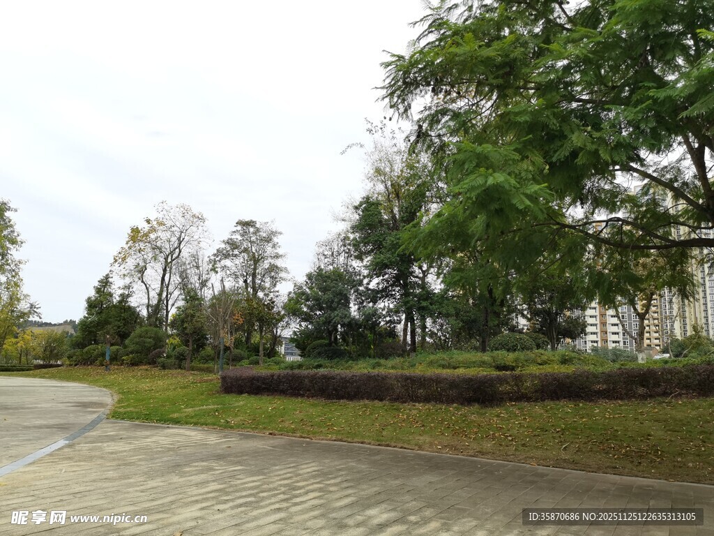 宁静的户外绿化景观