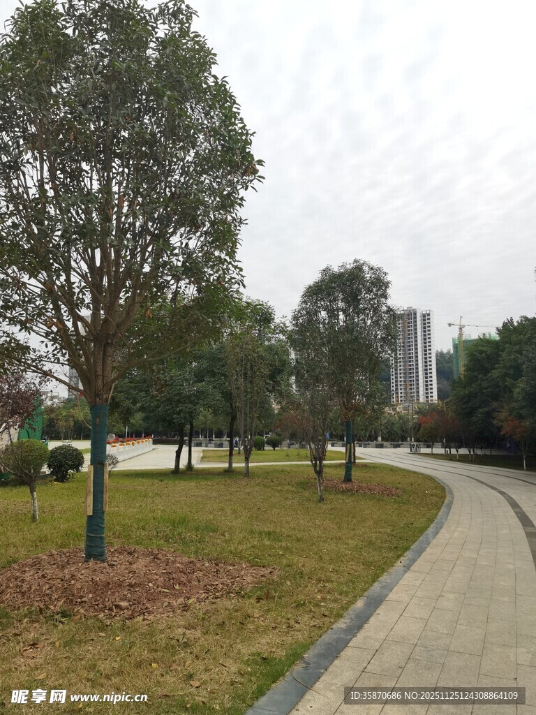 城市公园中的蜿蜒小路