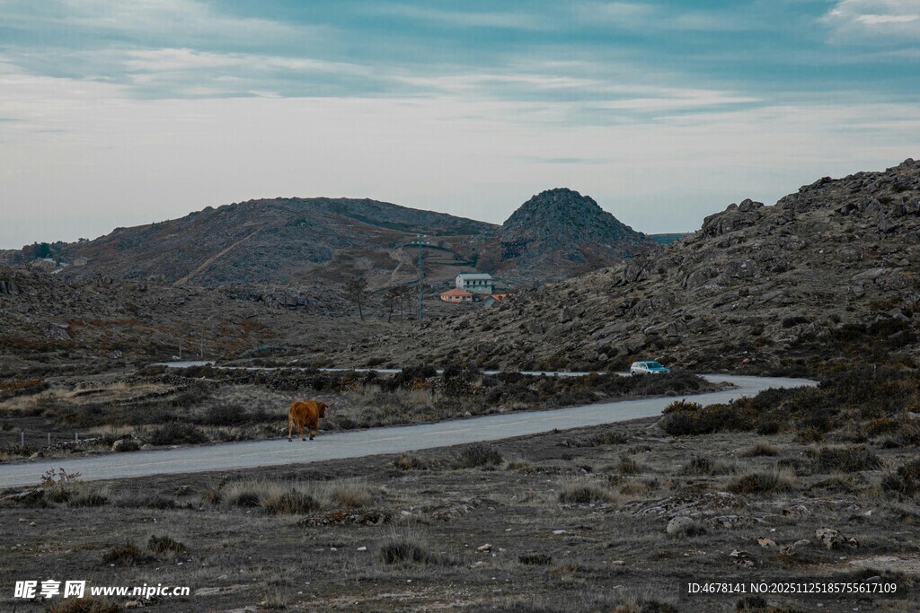 山间公路尽显旷野之美